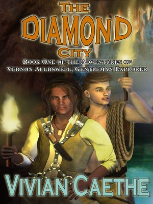 cover image of The Diamond City